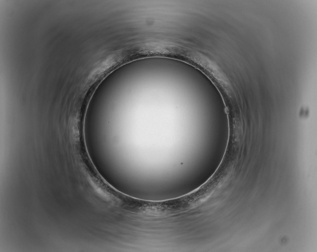 X0000102340489200808011144