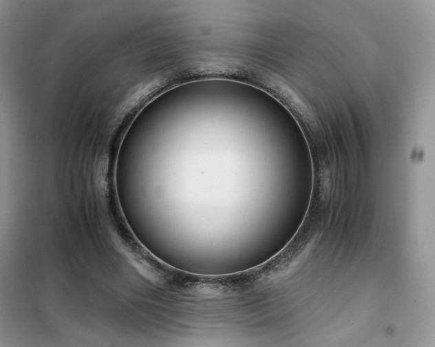 X0000102340490200808011144