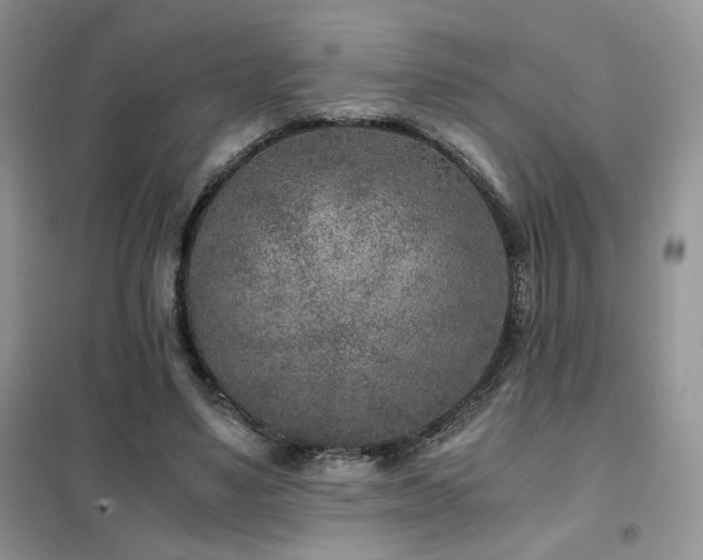 X0000102340491200808011144