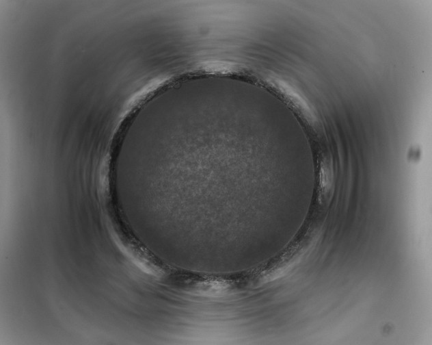 X0000102340492200808011144