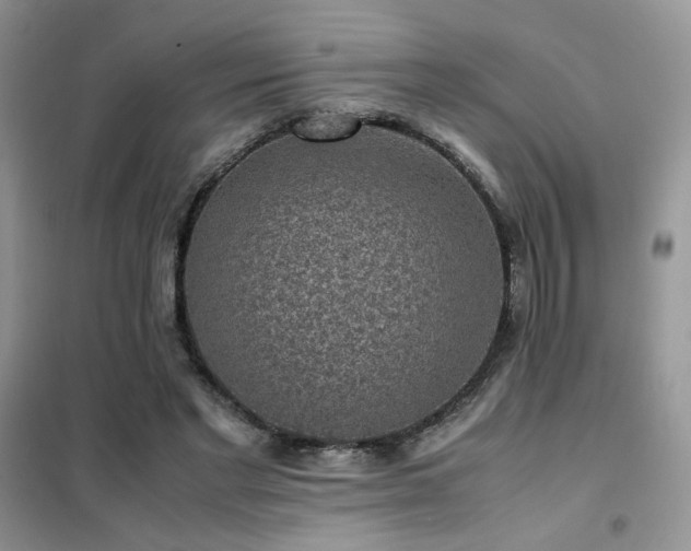 X0000102340493200808011144