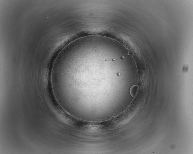 X0000102340495200808011144