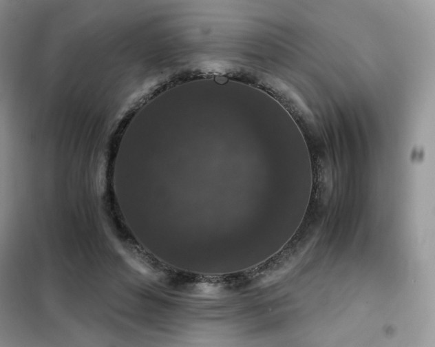 X0000102340496200808011144