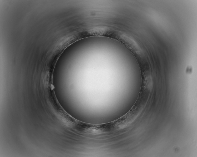 X0000102340498200808011144