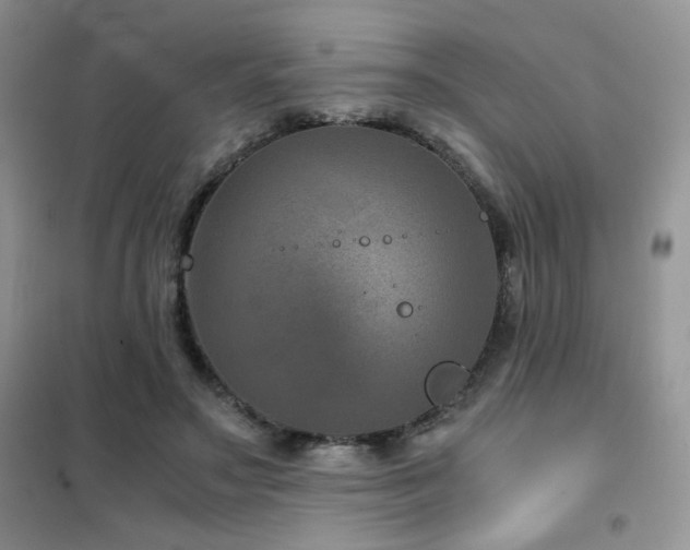 X0000102340499200808011144