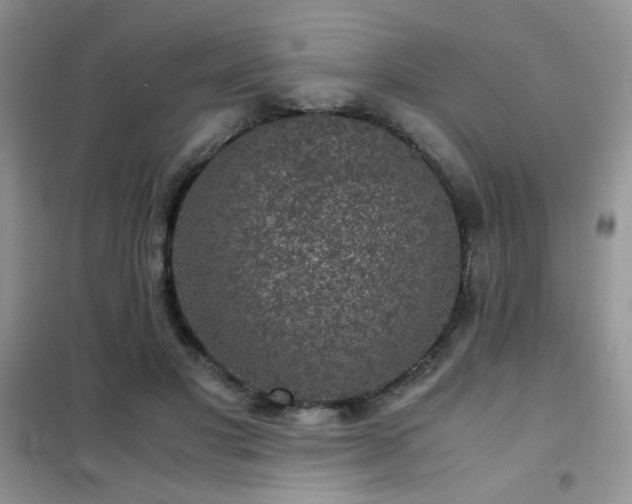 X0000102340501200808011144