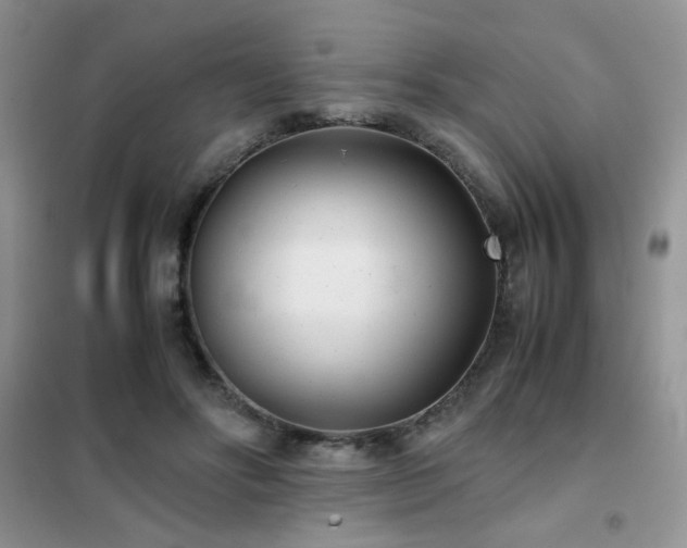 X0000102340502200808011144