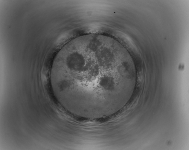 X0000102340503200808011144