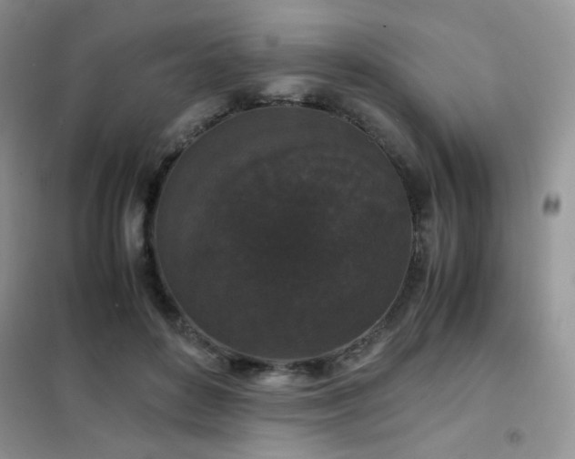 X0000102340504200808011144