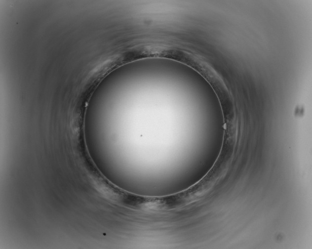 X0000102340505200808011144