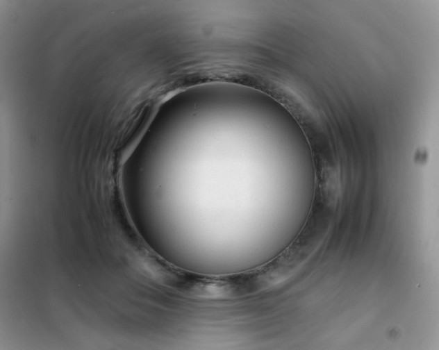 X0000102340506200808011144