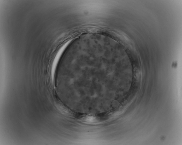 X0000102340507200808011144