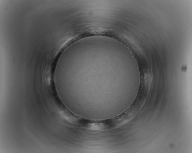 X0000102340508200808011144