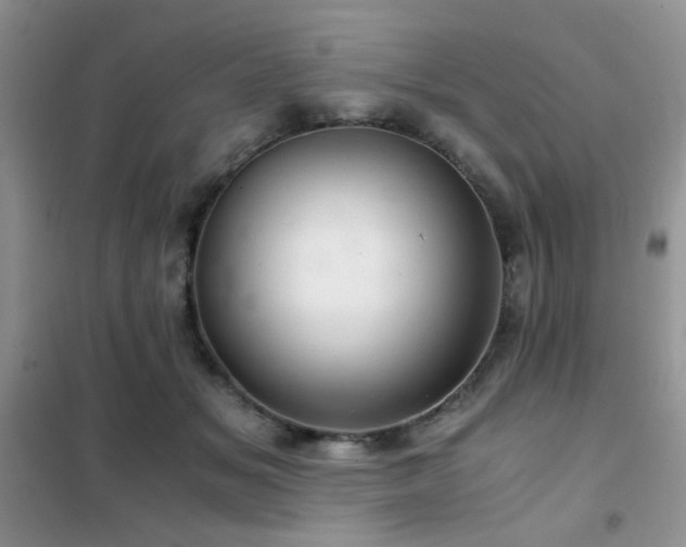 X0000102340509200808011144