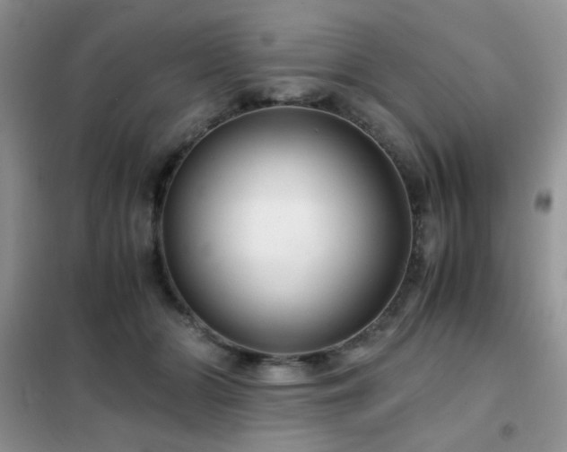 X0000102340510200808011144