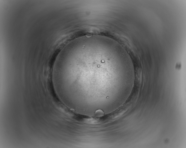 X0000102340511200808011144