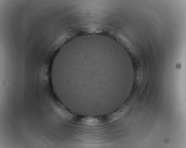 X0000102340512200808011144