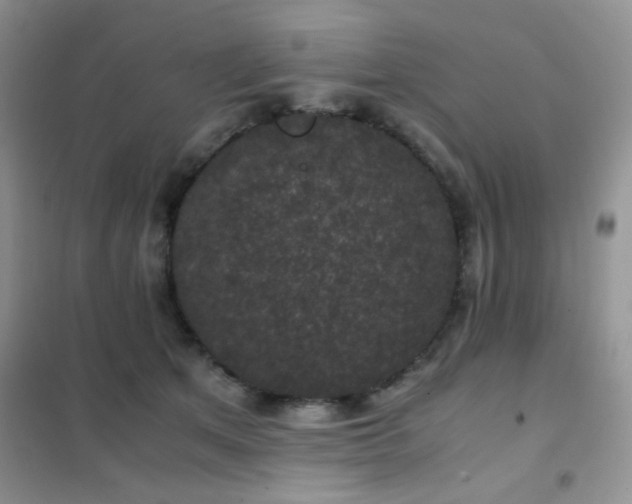 X0000102340513200808011144