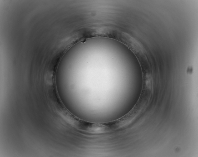 X0000102340514200808011144