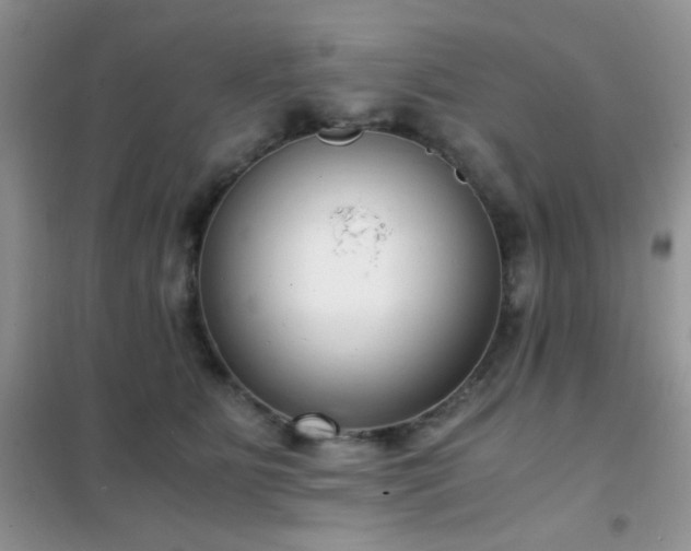 X0000102340515200808011144