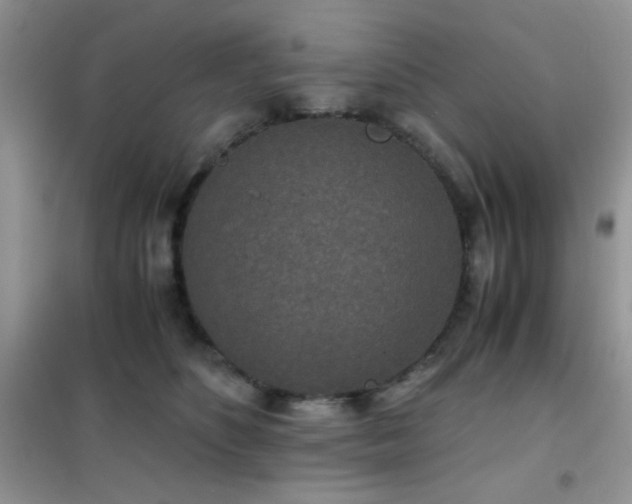 X0000102340516200808011144