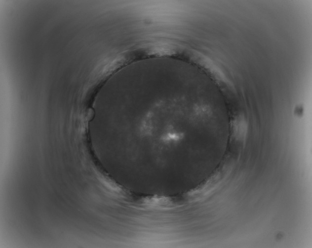 X0000102340517200808011143