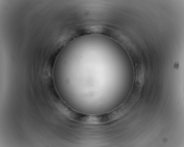 X0000102340518200808011143