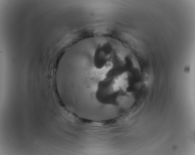 X0000102340519200808011143