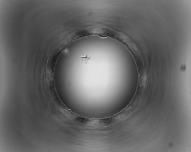 X0000102340521200808011143