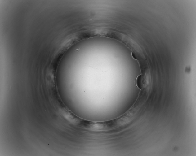 X0000102340522200808011143