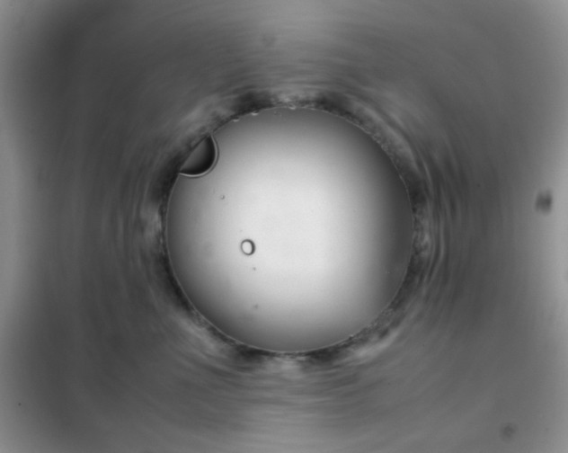 X0000102340523200808011143