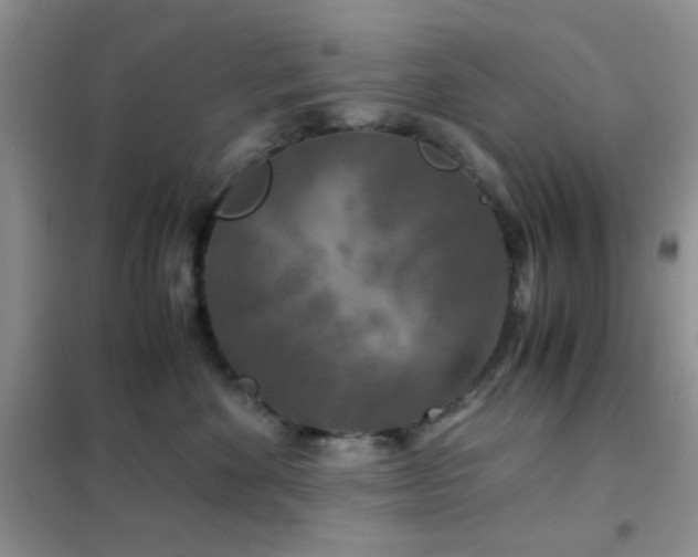 X0000102340524200808011143