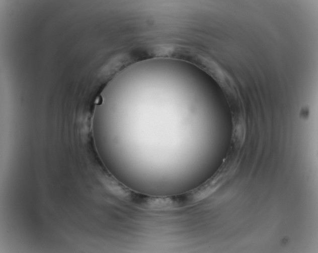 X0000102340525200808011143