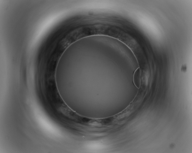 X0000102340526200808011143