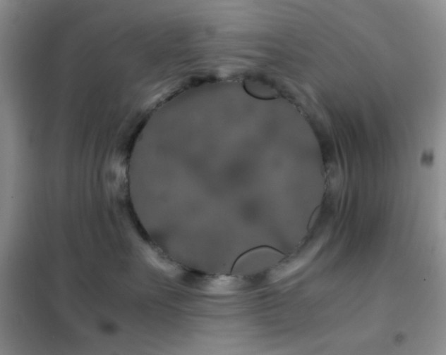 X0000102340527200808011143