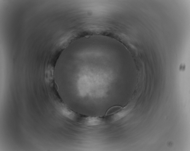 X0000102340528200808011143