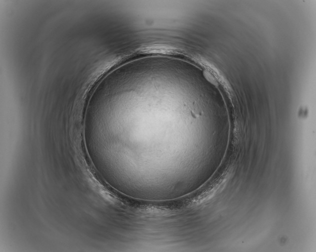 X0000102340529200808011143