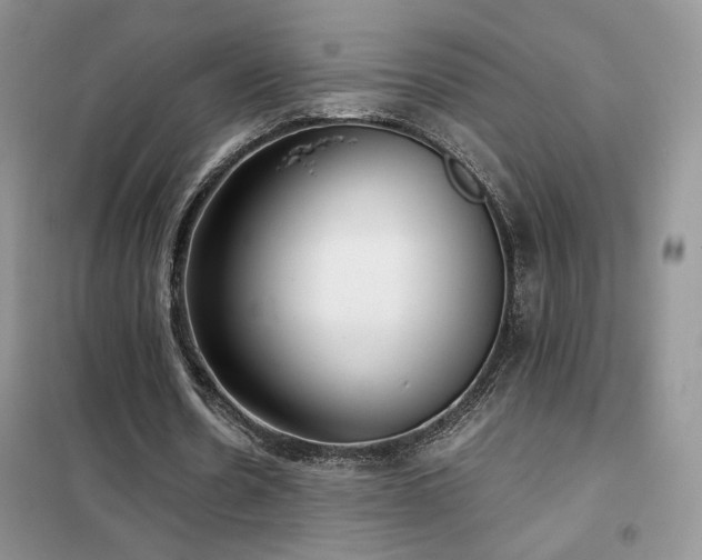 X0000102340530200808011143