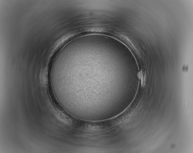 X0000102340531200808011143