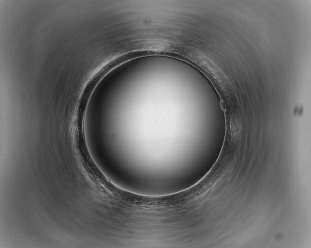 X0000102340532200808011143