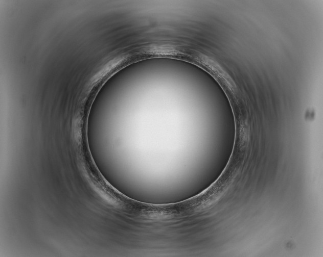 X0000102340533200808011143