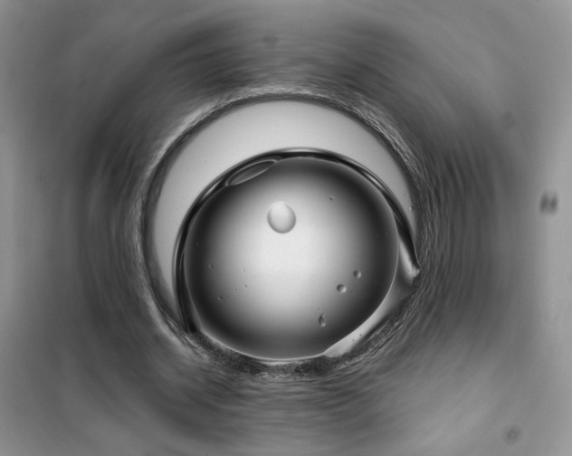 X0000102340534200808011143