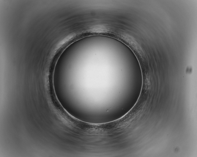 X0000102340535200808011143