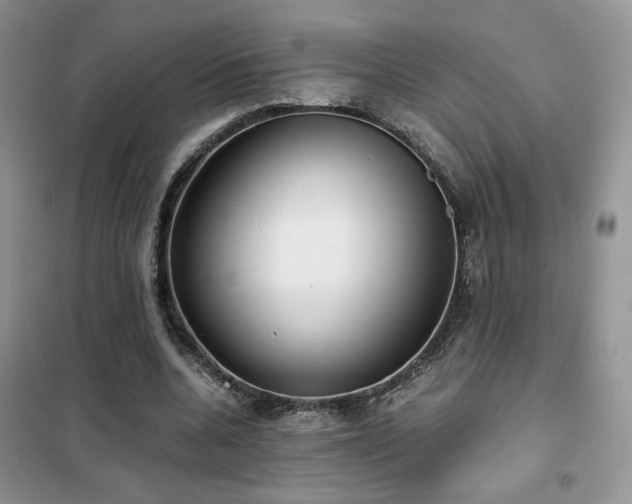 X0000102340536200808011143