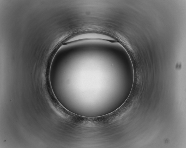 X0000102340538200808011143