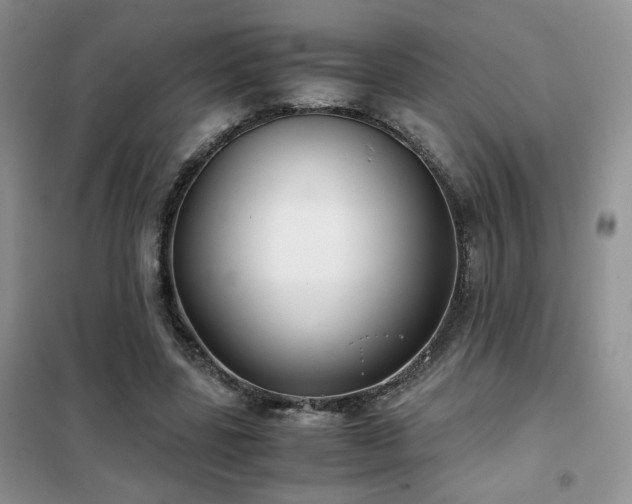 X0000102340539200808011143