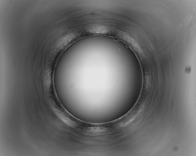 X0000102340541200808011143