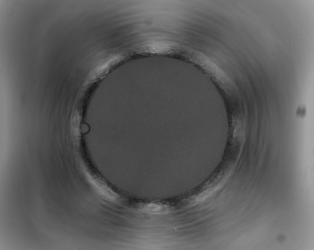 X0000102340542200808011143