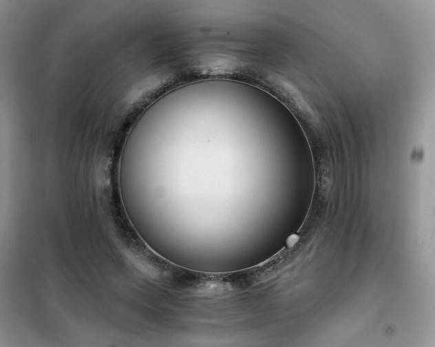 X0000102340543200808011143