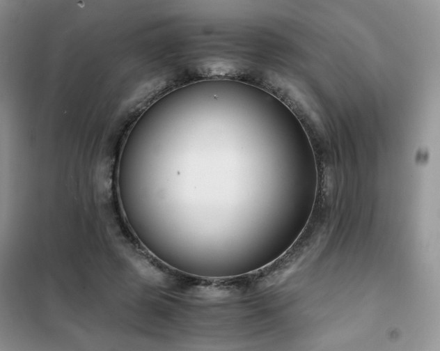 X0000102340545200808011143